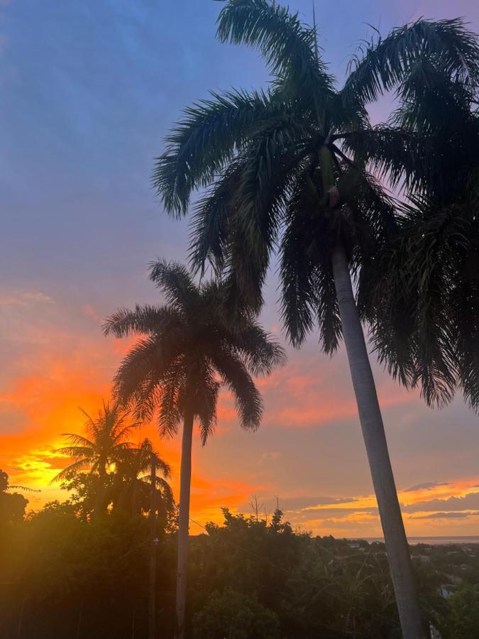 Готель Peaceful Palms Монтего-Бей Екстер'єр фото