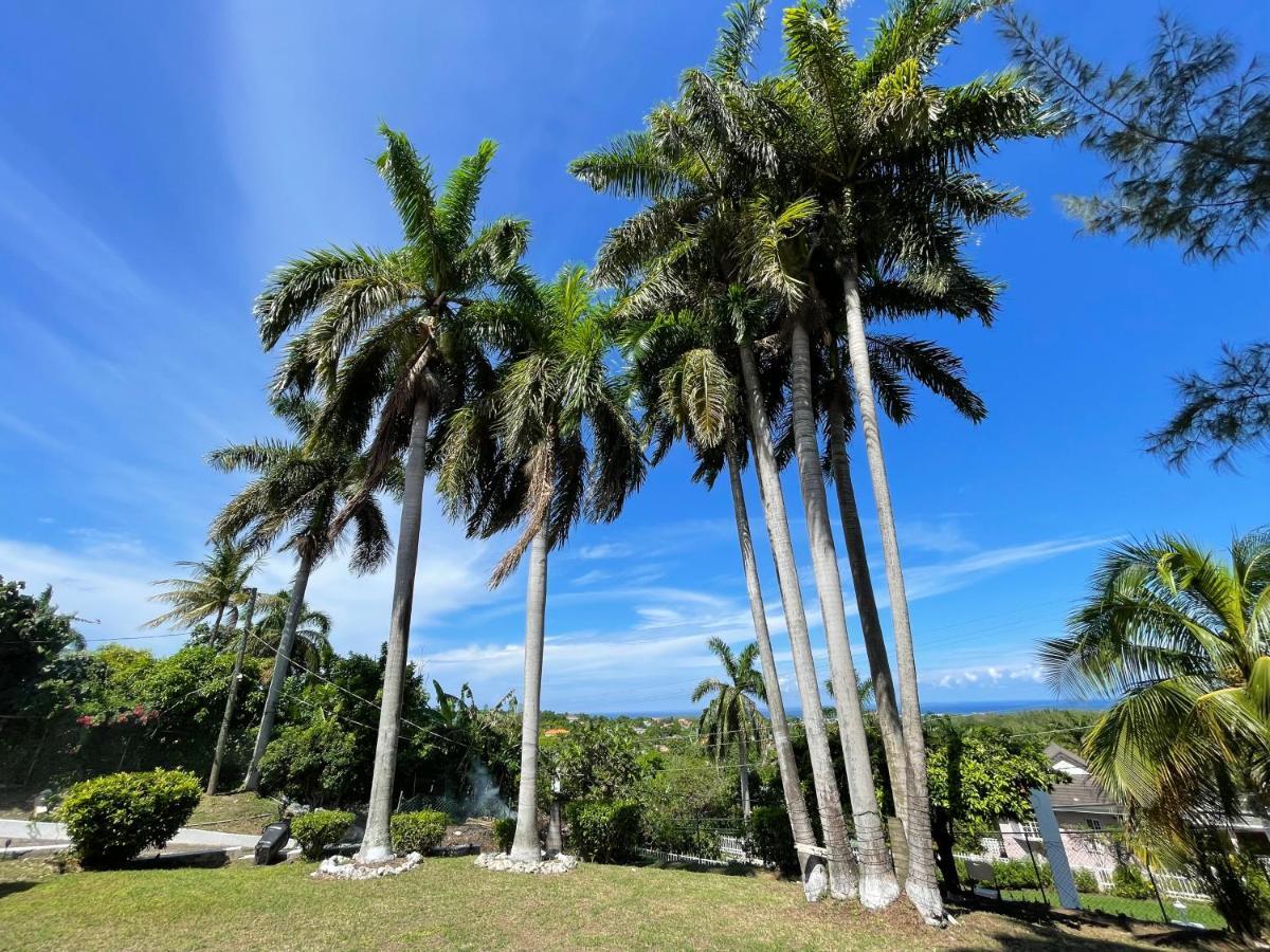 Готель Peaceful Palms Монтего-Бей Екстер'єр фото