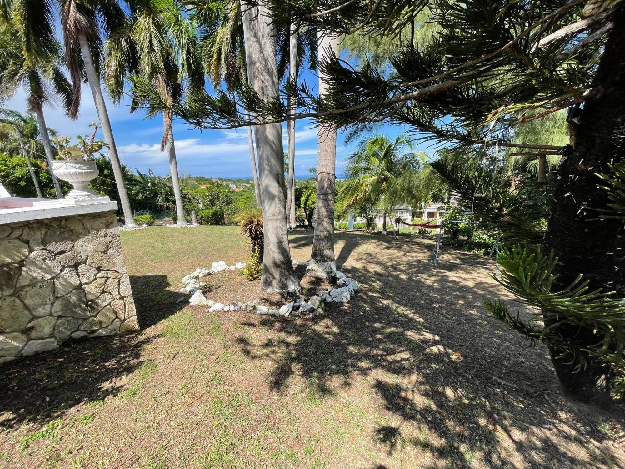 Готель Peaceful Palms Монтего-Бей Екстер'єр фото